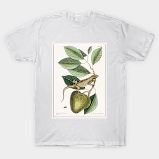 Guana, Lacertus Indicus (1754) T-Shirt